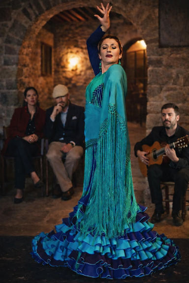 Exclusive Flamenco Experience in Private Villa Private flamenco performance in luxury villa Costa Brava