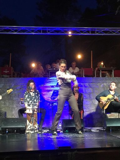 Flamenco Show for Luxury Hotels Flamenco performance in 5 star hotel Barcelona