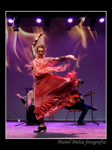 Flamenco Show for Luxury Hotels Luxury flamenco entertainment for hotel guests Spain